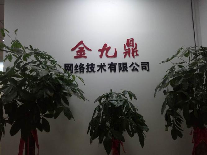 福州金九鼎网络科技 扎根数字福州，赋能智慧未来